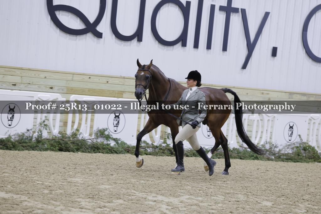 Proof Number 25R13_01022