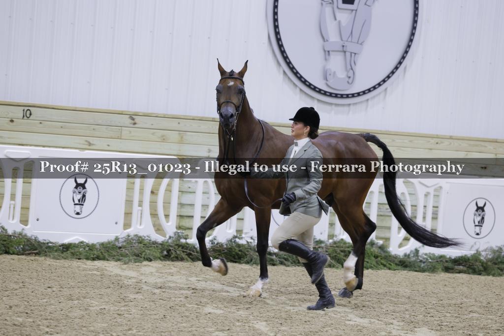 Proof Number 25R13_01023