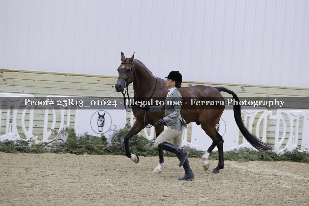 Proof Number 25R13_01024