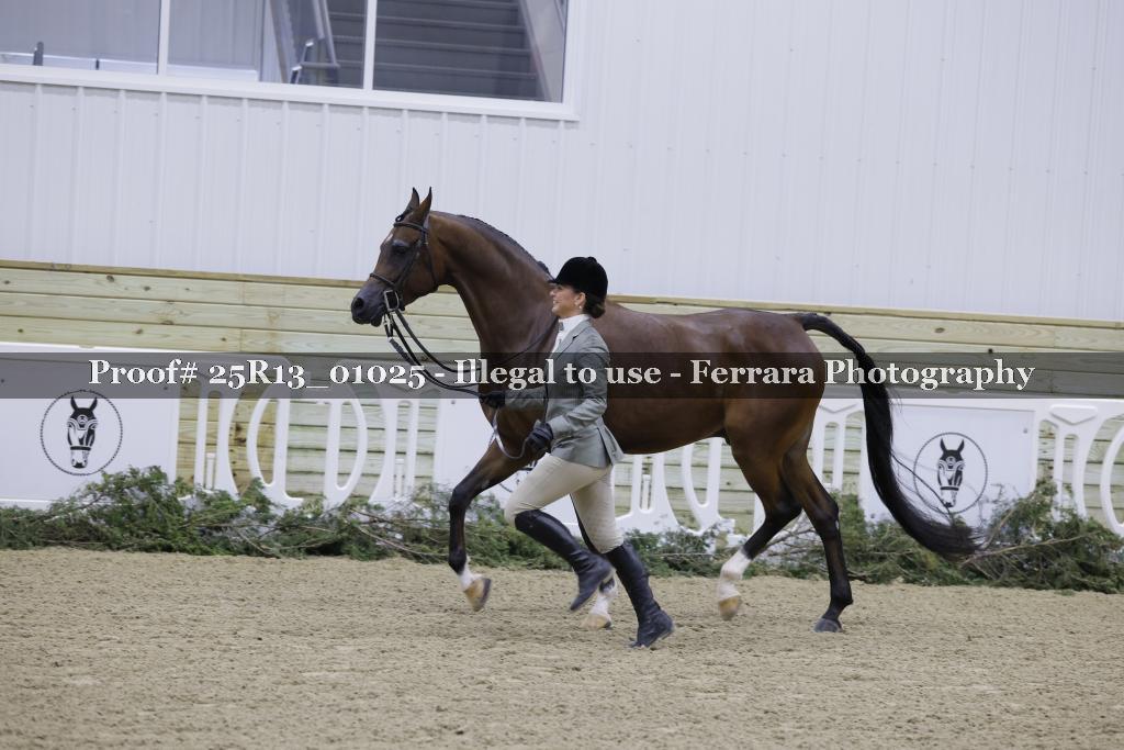 Proof Number 25R13_01025