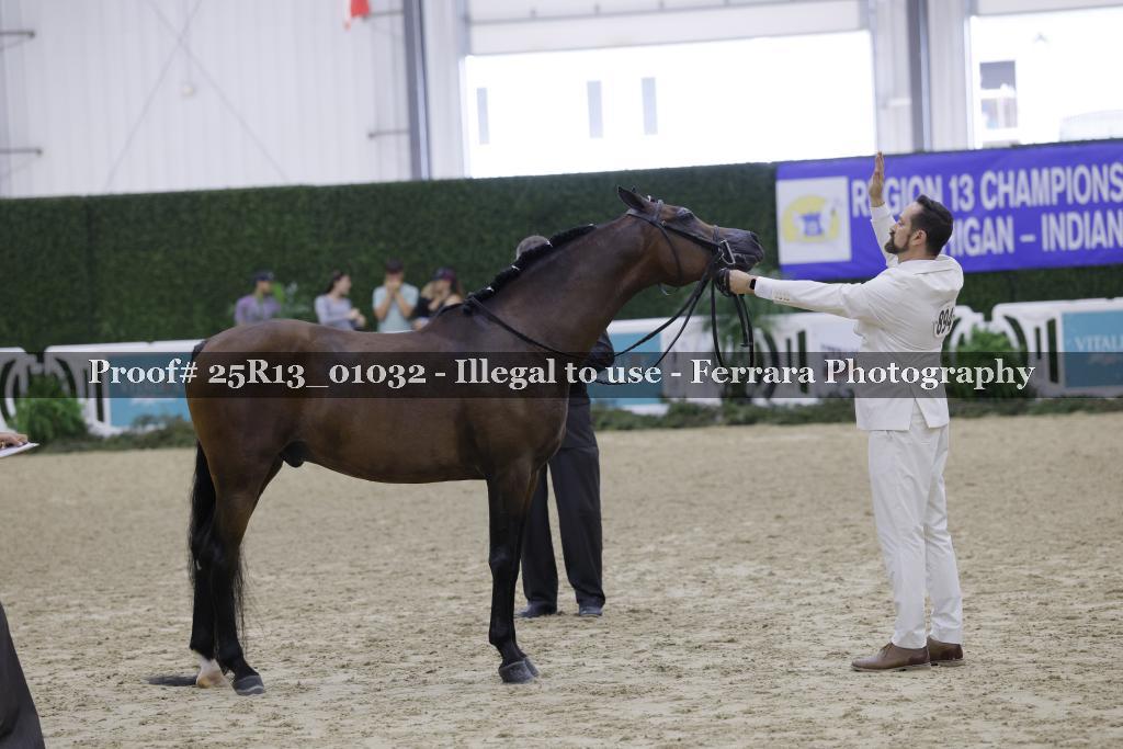 Proof Number 25R13_01032