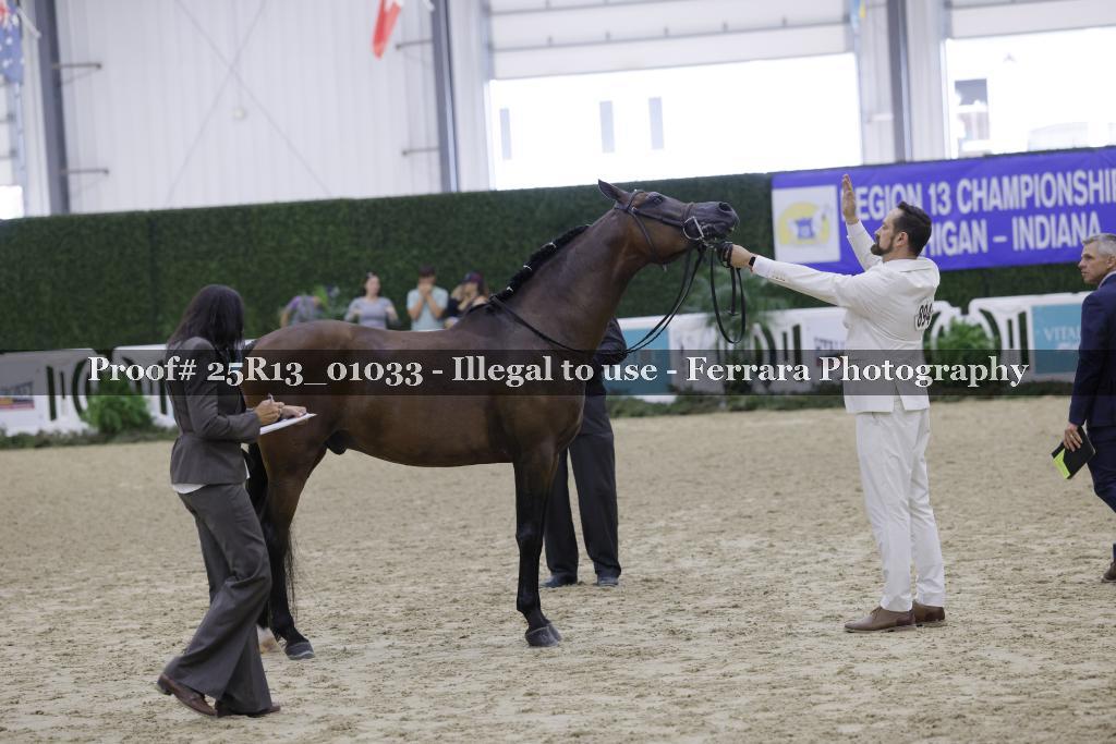 Proof Number 25R13_01033