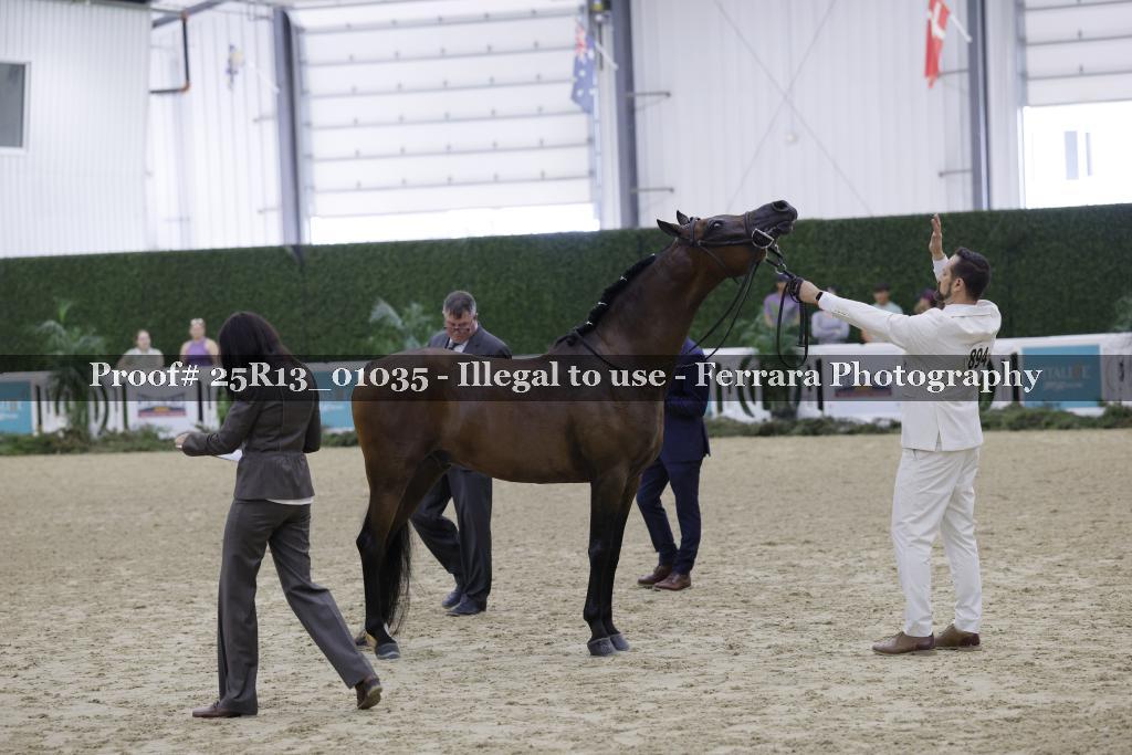 Proof Number 25R13_01035