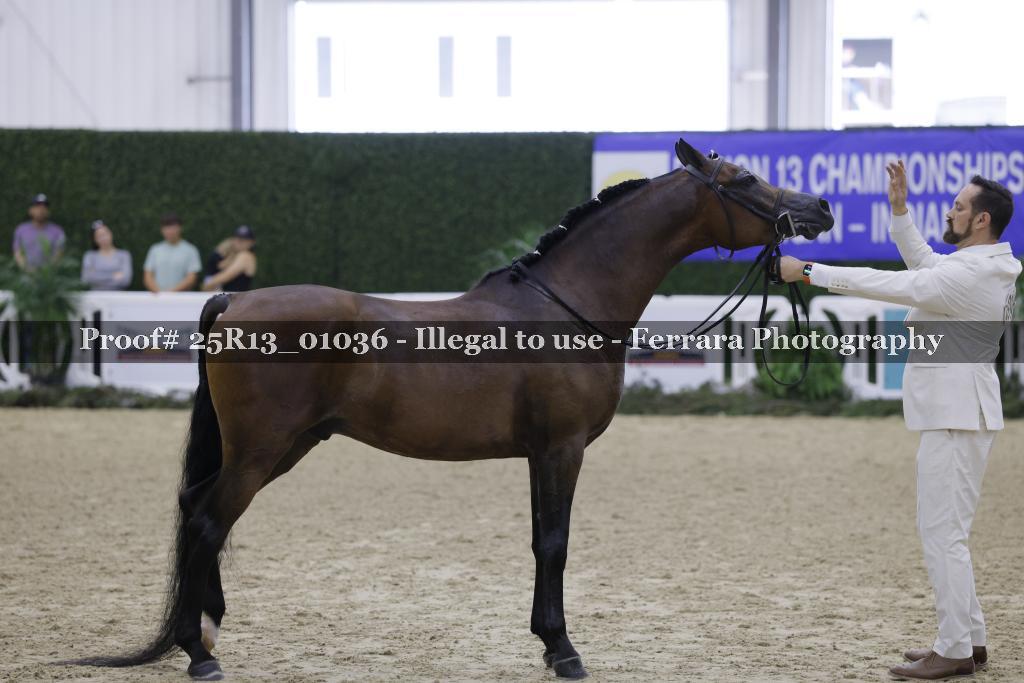 Proof Number 25R13_01036