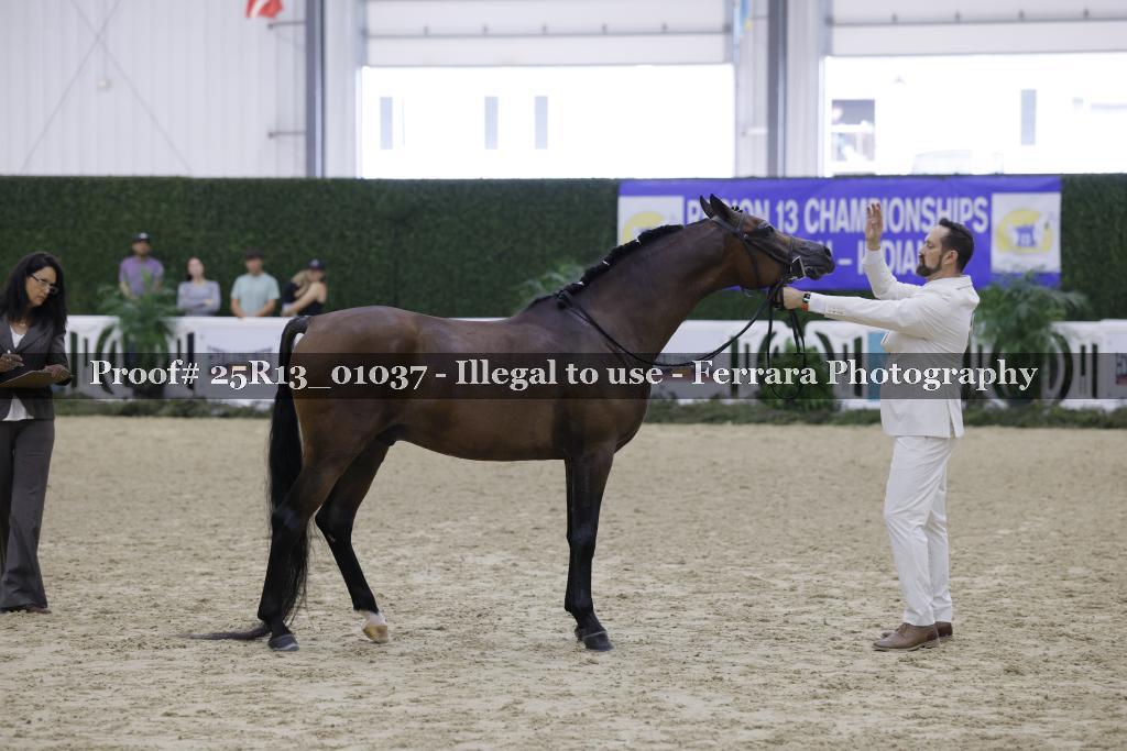 Proof Number 25R13_01037