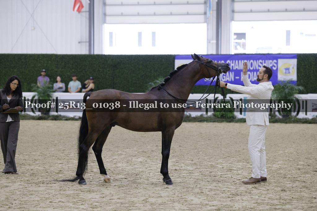 Proof Number 25R13_01038