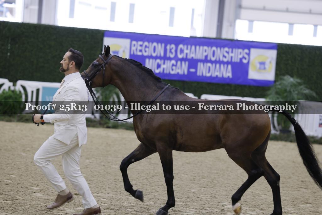 Proof Number 25R13_01039