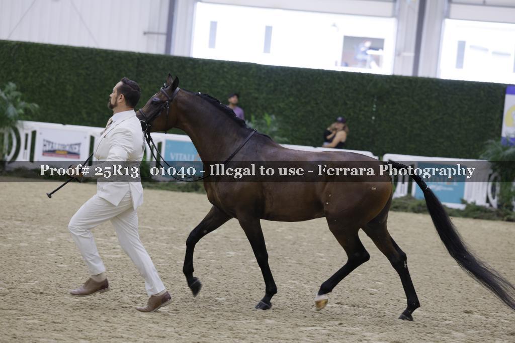 Proof Number 25R13_01040
