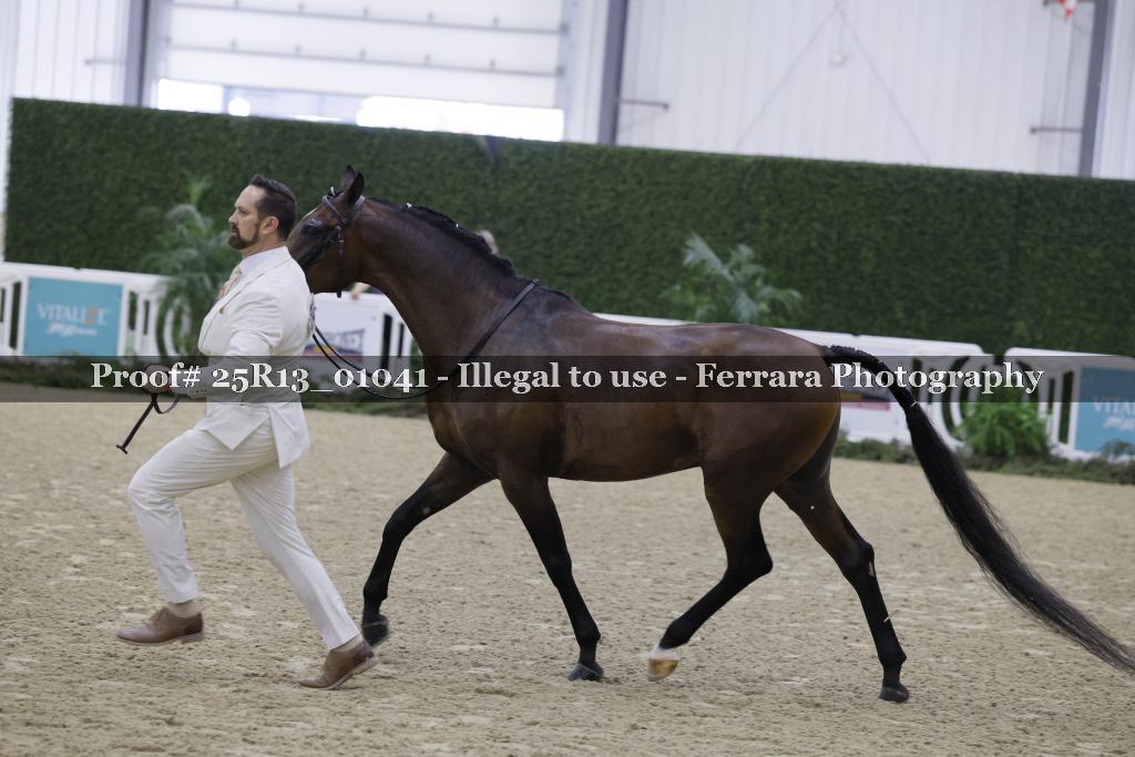 Proof Number 25R13_01041