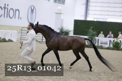25R13_01042 thumbnail