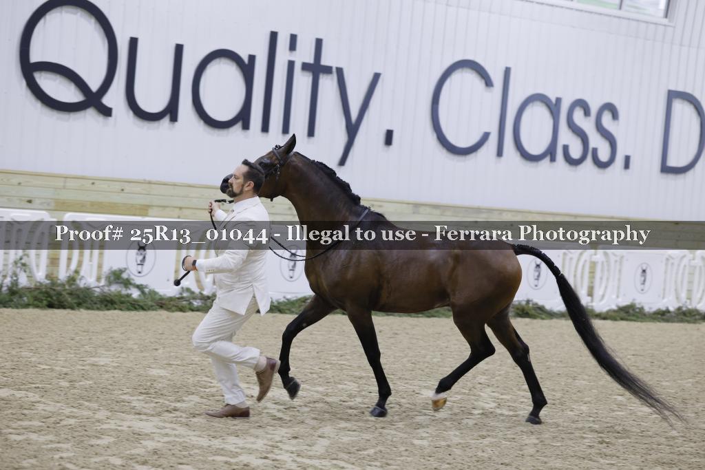 Proof Number 25R13_01044