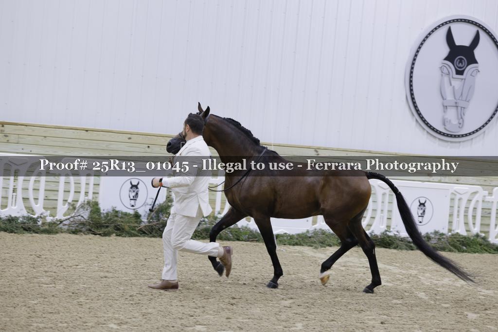 Proof Number 25R13_01045