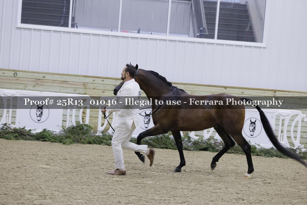 Proof Number 25R13_01046