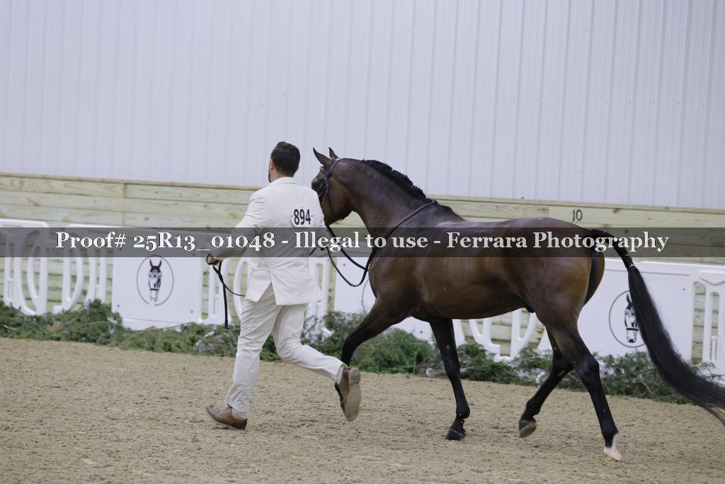 Proof Number 25R13_01048