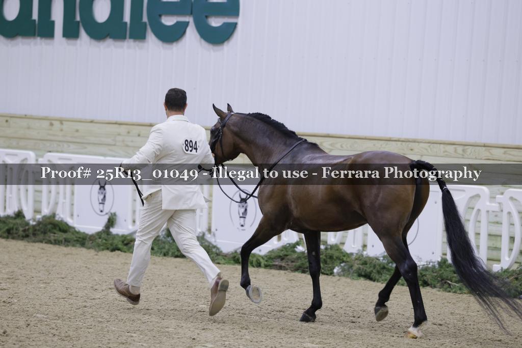 Proof Number 25R13_01049