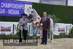 25R13_01067 thumbnail