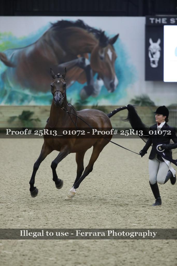 Proof Number 25R13_01072