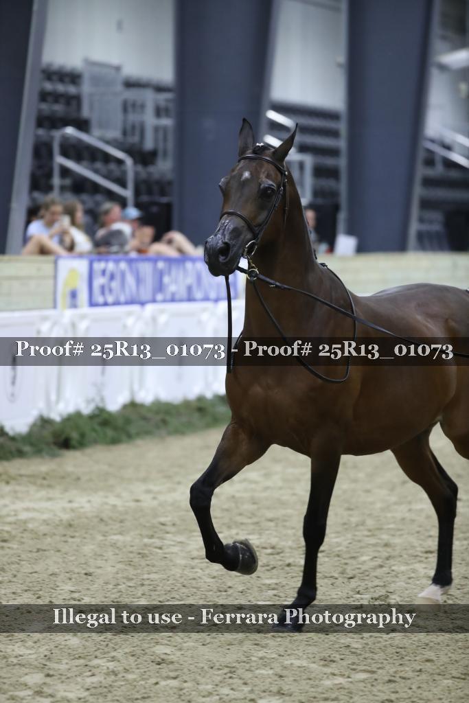 Proof Number 25R13_01073
