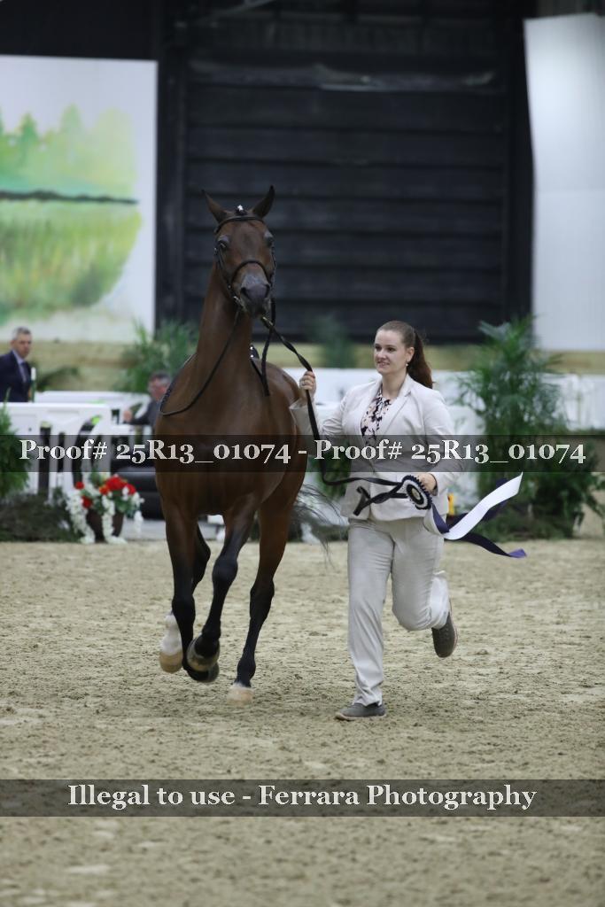 Proof Number 25R13_01074