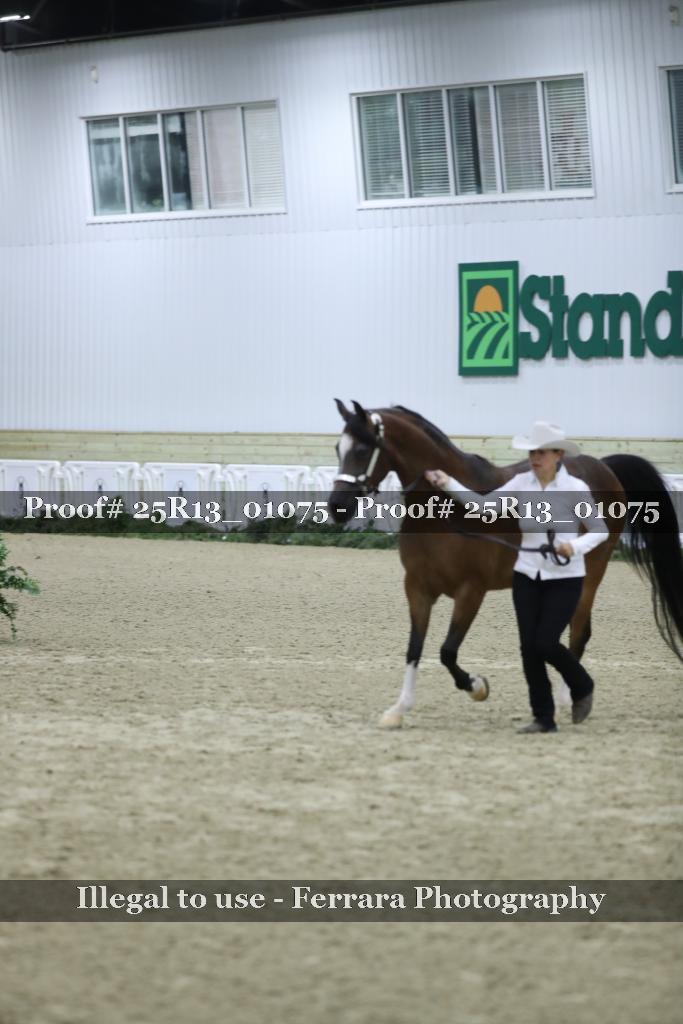 Proof Number 25R13_01075