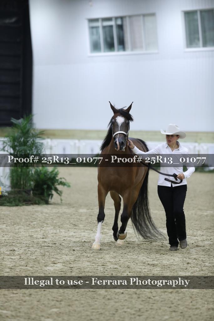 Proof Number 25R13_01077