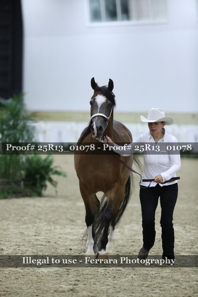Proof Number 25R13_01078
