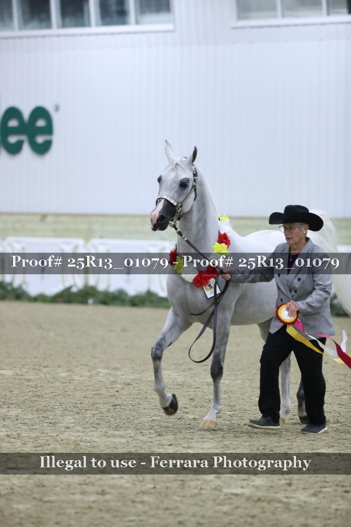 Proof Number 25R13_01079
