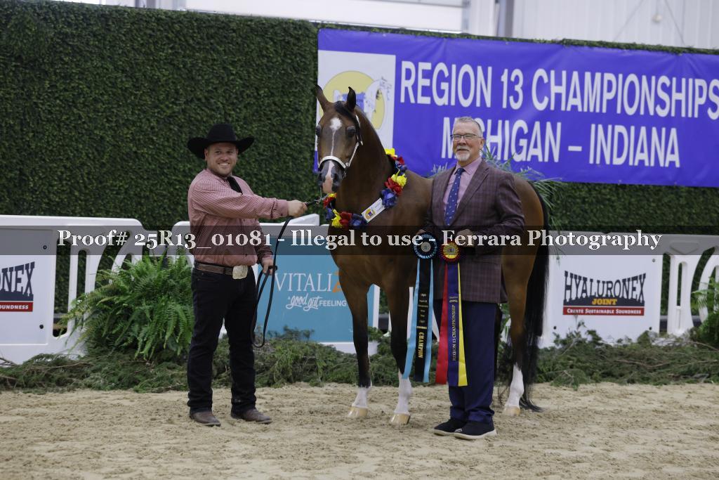 Proof Number 25R13_01081