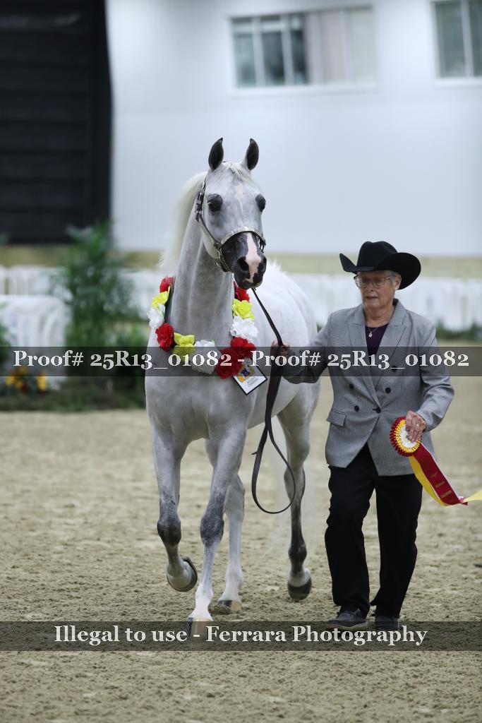 Proof Number 25R13_01082