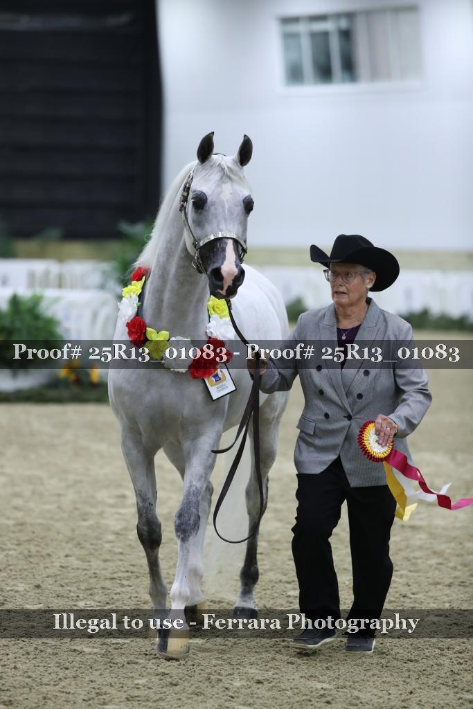 Proof Number 25R13_01083