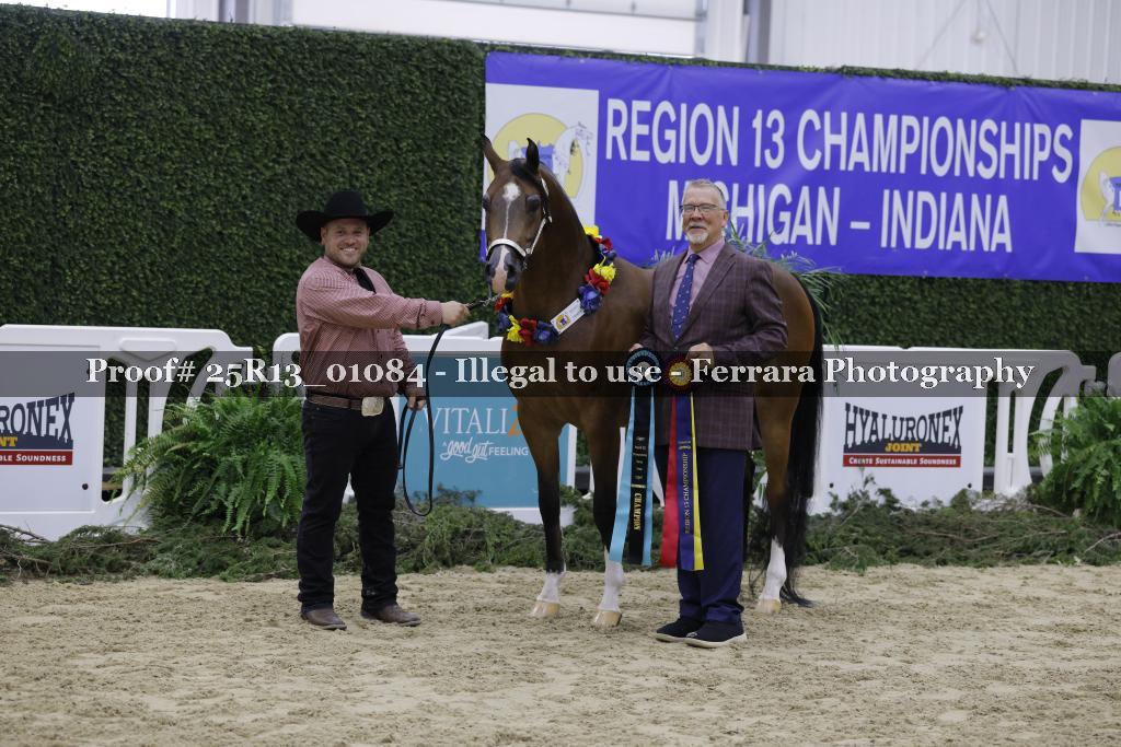 Proof Number 25R13_01084