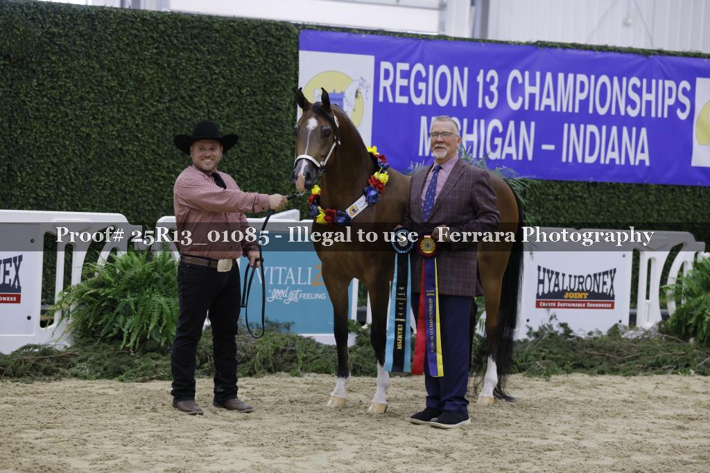 Proof Number 25R13_01085