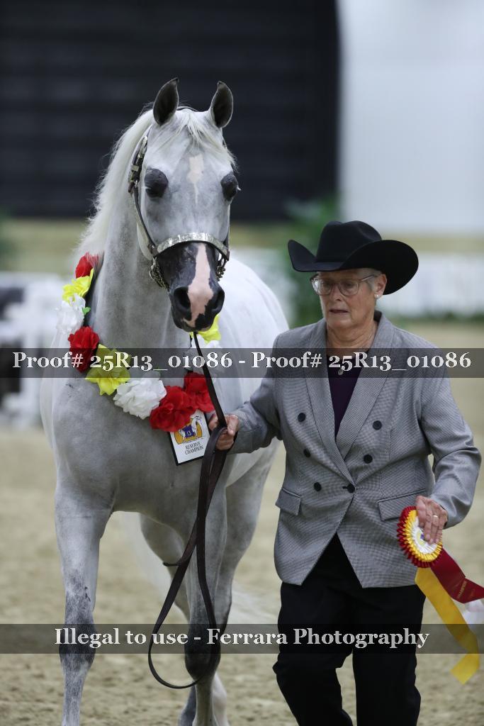 Proof Number 25R13_01086