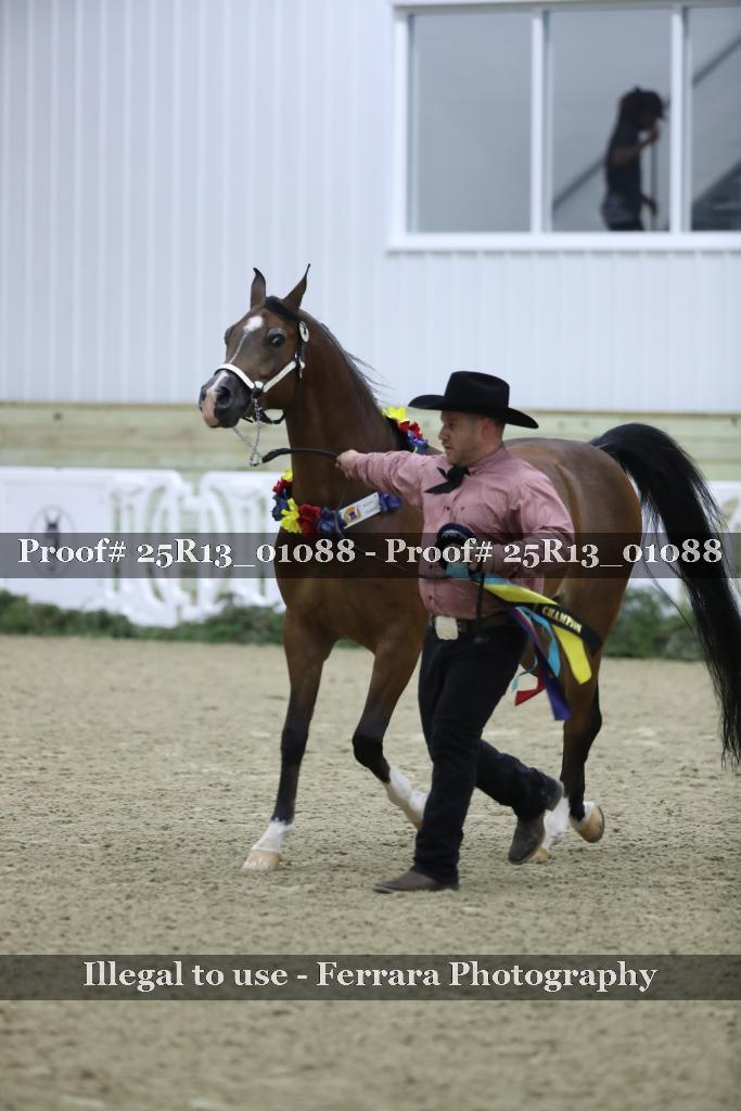 Proof Number 25R13_01088