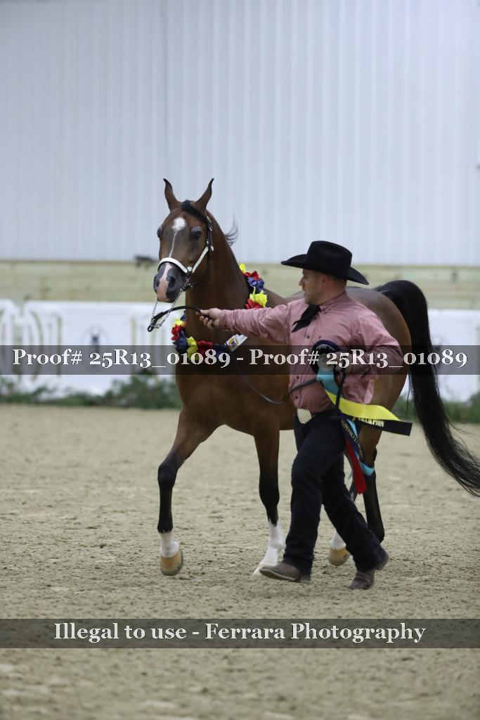 Proof Number 25R13_01089