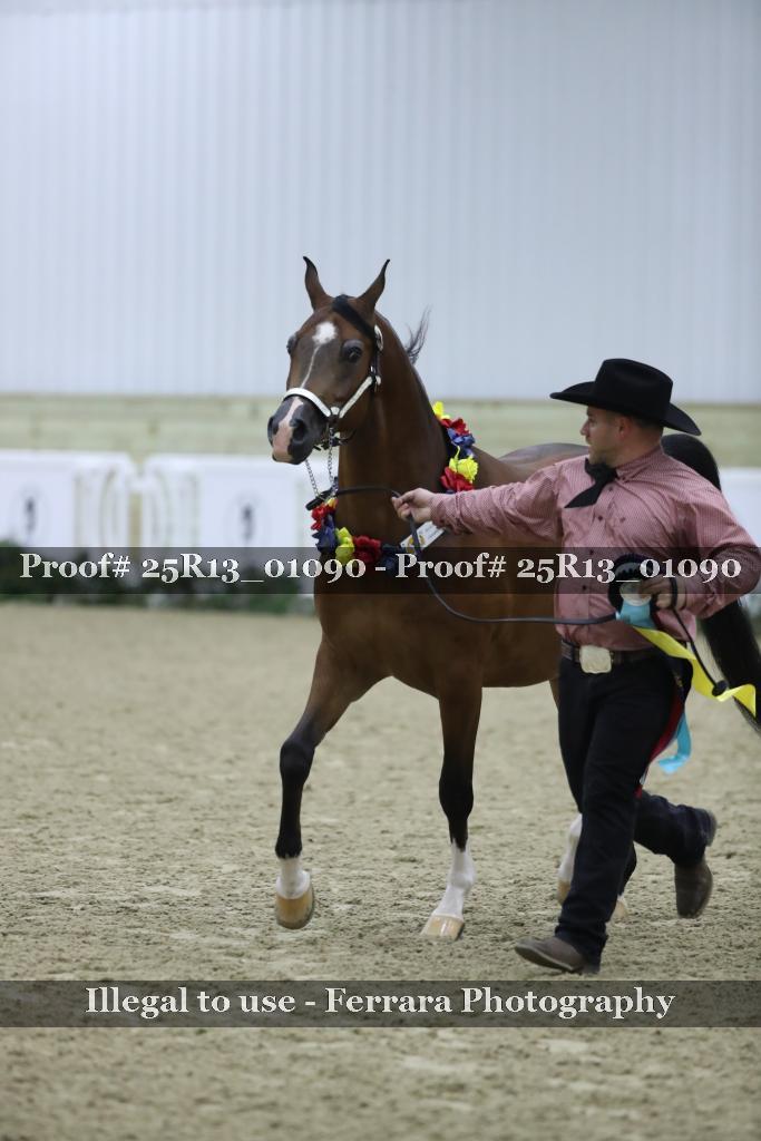 Proof Number 25R13_01090