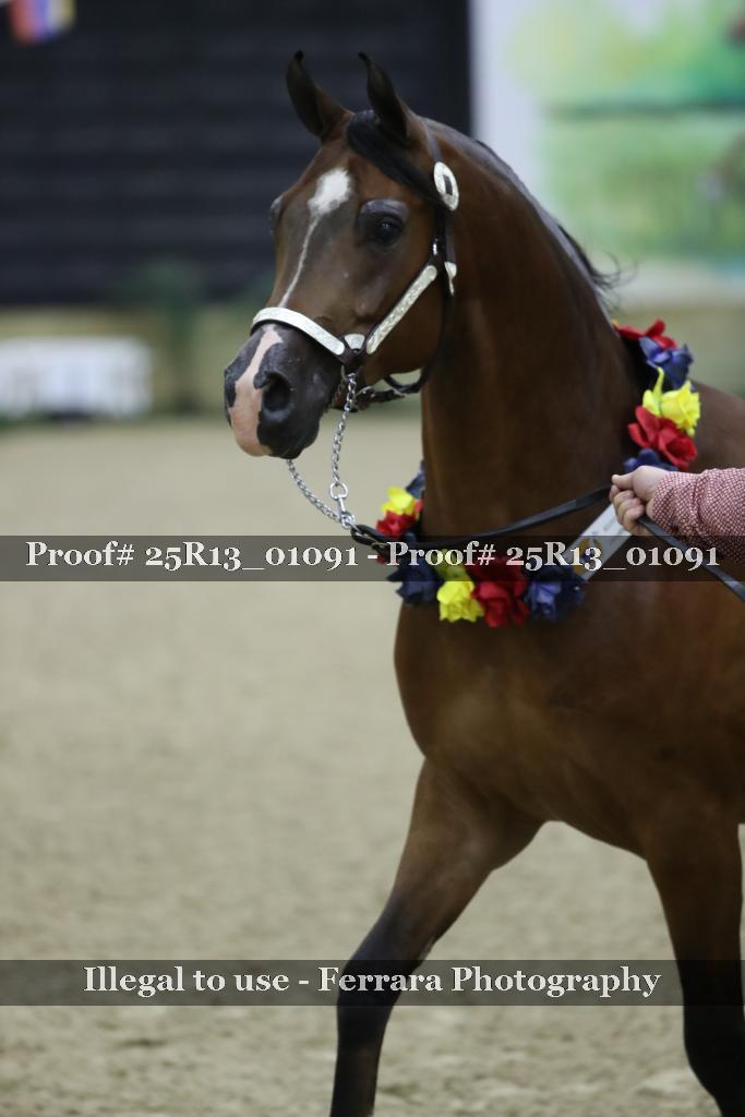 Proof Number 25R13_01091