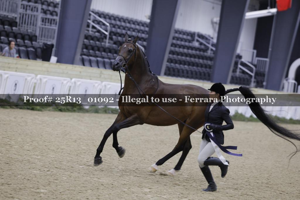 Proof Number 25R13_01092