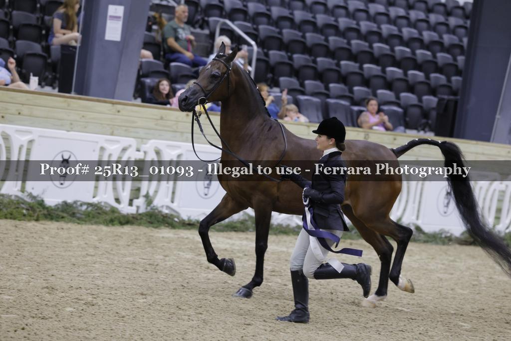 Proof Number 25R13_01093