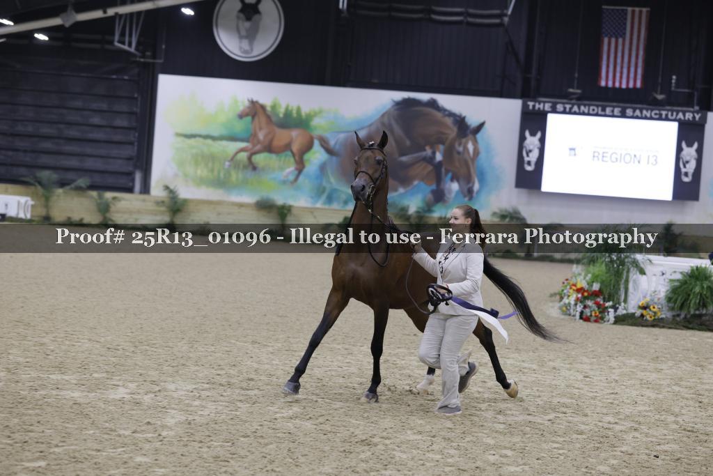 Proof Number 25R13_01096