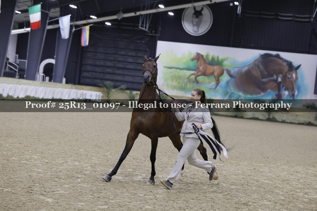 Proof Number 25R13_01097