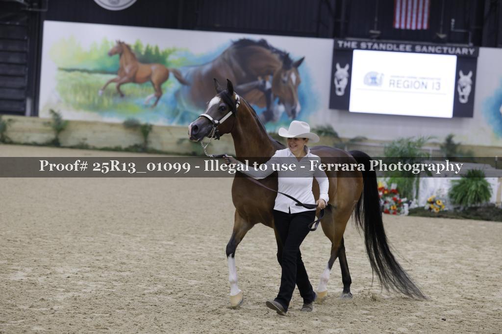 Proof Number 25R13_01099