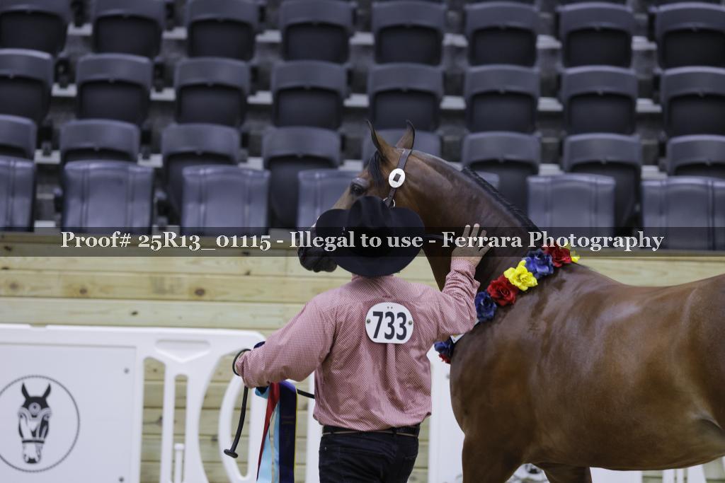 Proof Number 25R13_01115