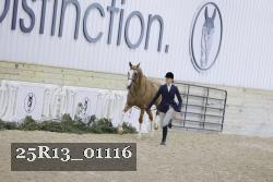 25R13_01116 thumbnail
