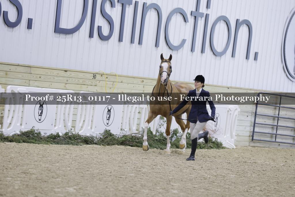 Proof Number 25R13_01117