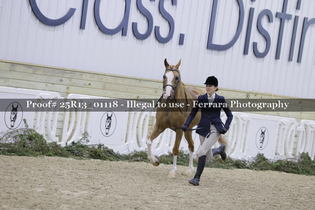 Proof Number 25R13_01118