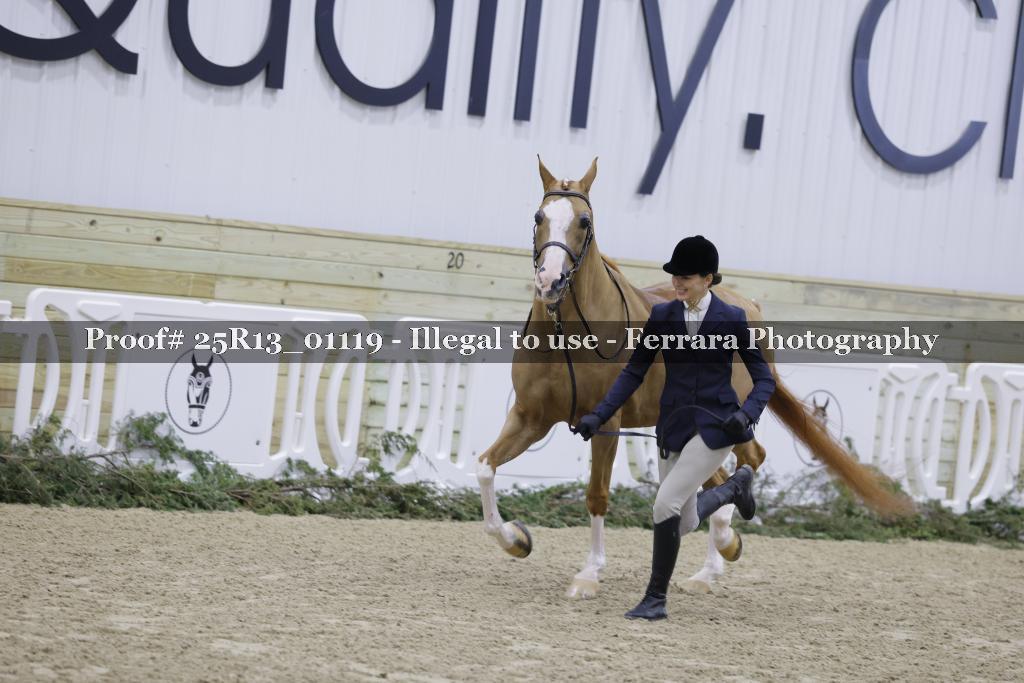 Proof Number 25R13_01119