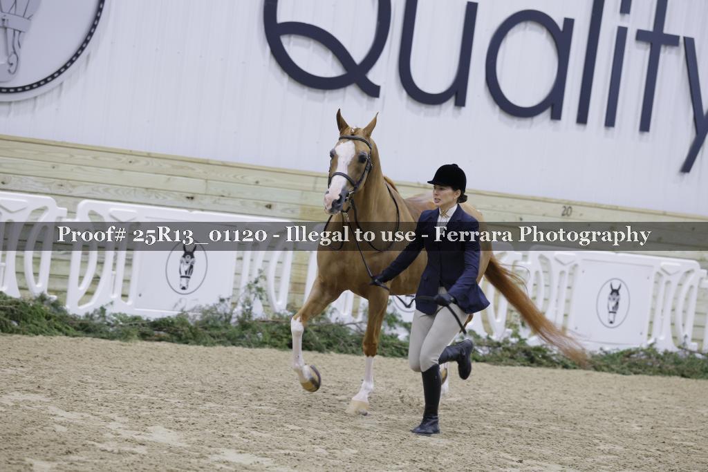 Proof Number 25R13_01120