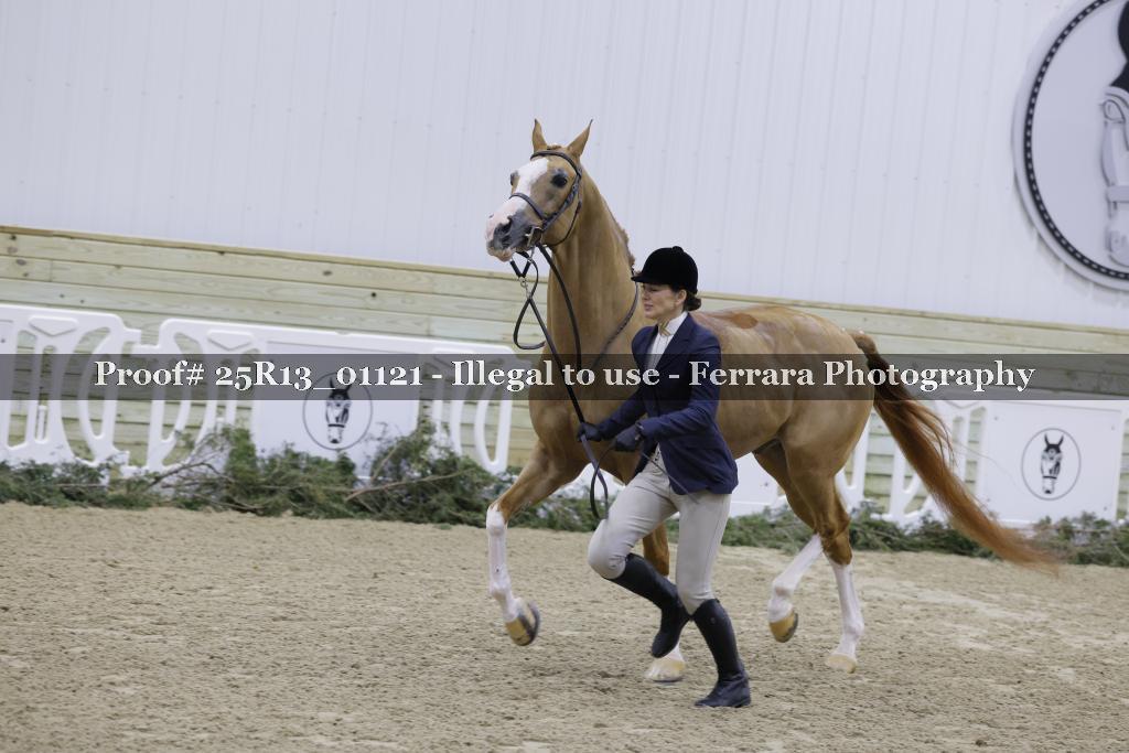 Proof Number 25R13_01121