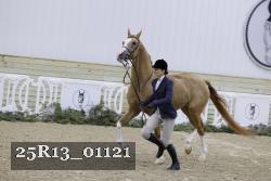 25R13_01121 thumbnail